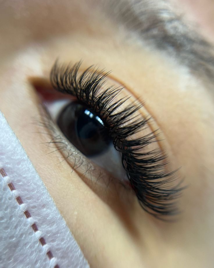 IN PERSON GROUP REFRESHER LASH TRAINING